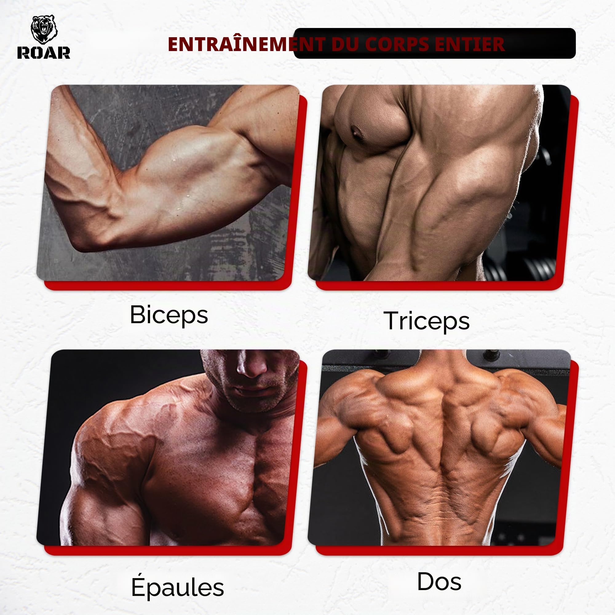 roar-poulie-musculation-maison-haute-basse-avec-corde image 6